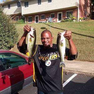 Meet your Posher, Norman